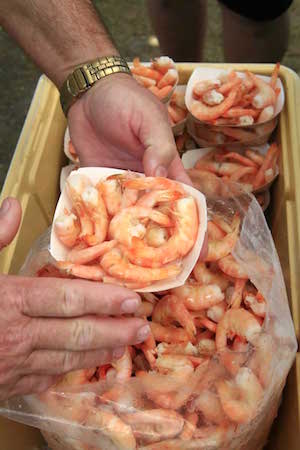 Seafood, like Key West pink shrimp, is fishermen-to-fork fresh.